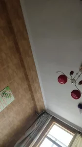 秘术之盗墓江湖下载