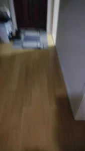 刮伦小说家庭小说